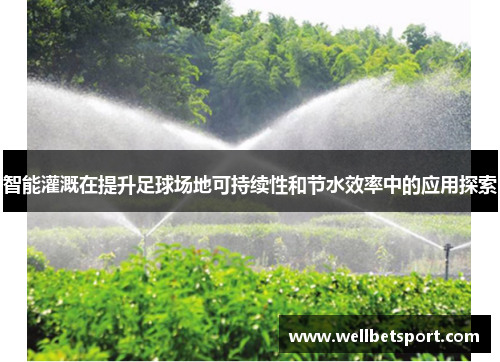 智能灌溉在提升足球场地可持续性和节水效率中的应用探索