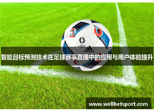 智能目标预测技术在足球赛事直播中的应用与用户体验提升